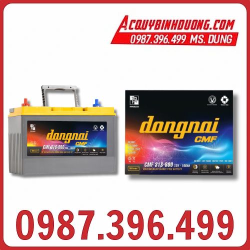 Ắc Quy Đồng Nai CMF 31S800 (12V-100AH) (cọc vít) 