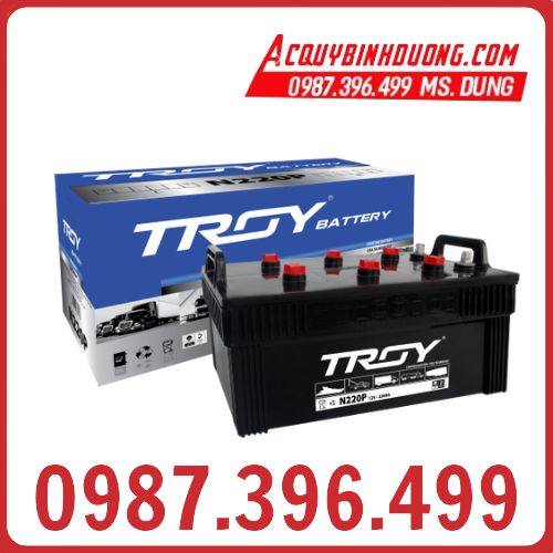 Ắc Quy Troy N220P (12V-220ah)