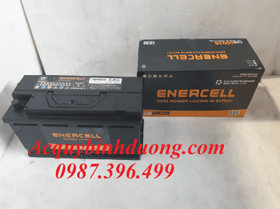 Ắc Quy Hyundai Enercell CMF 60038 (12V-100ah) 